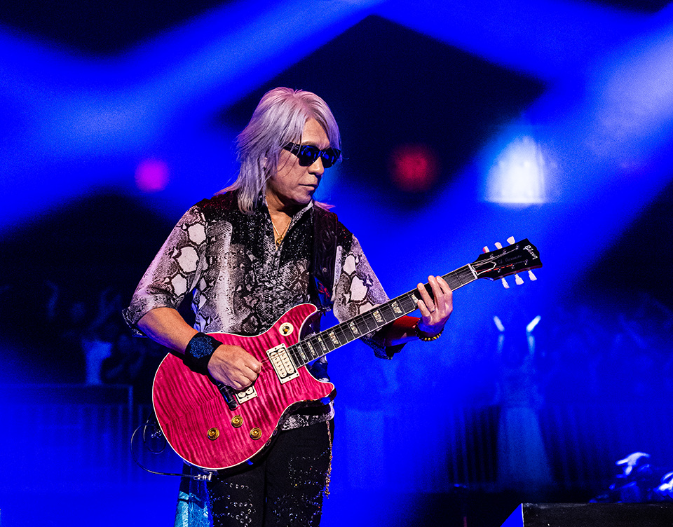 House Of Strings Official Website